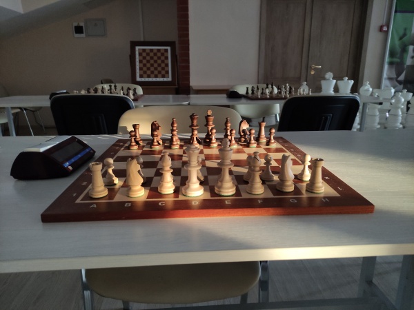 Первенство Новосибирской области по шахматам, 19–28 августа