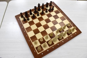 Фестиваль по быстрым шахматам и блицу «Маэстро 2022», 8–10 июля