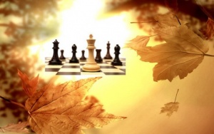 Фестиваль «Осень» шахматной школы «Феномен»
