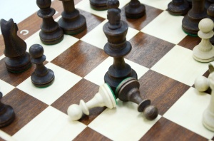 Поддержим проект «Международный турнир по шахматам. Мемориал Н.В. Толстогузова»