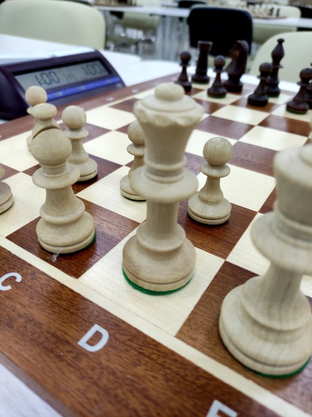 Шахматная осень: первенство СФО, Гран-при России и Гроссмейстерский центр