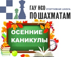 "Осенние каникулы" ГАУ НСО "СШ по шахматам"
