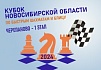Кубок Новосибирской области по быстрым шахматам и блицу, 1 этап, 17–18 февраля