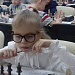 III этап открытых всероссийских соревнований «Белая ладья» Новосибирской области