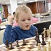 Федерация шахмат Новосибирской области выиграла  президентский грант