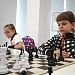 Первенство страны по шахматам: пятеро с медалями! 