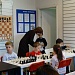 Итоги октябрьского этапа "Шахматного Новосибирска"