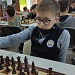 «Шахматную королеву» выиграла команда спортивной школы по шахматам