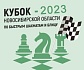 IV этап Кубка Новосибирской области по быстрым шахматам и блицу, 23–24 сентября