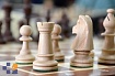 Соревнования по быстрым шахматам «Семейный гамбит», 10 марта 