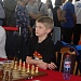 Итоги Командного чемпионата России по шахматам: «Сибирь» удержалась в премьер-лиге, сборная НГТУ-НЭТИ попала в десятку